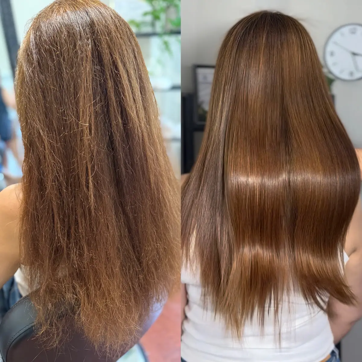 Before and after protein hair treatment near North York